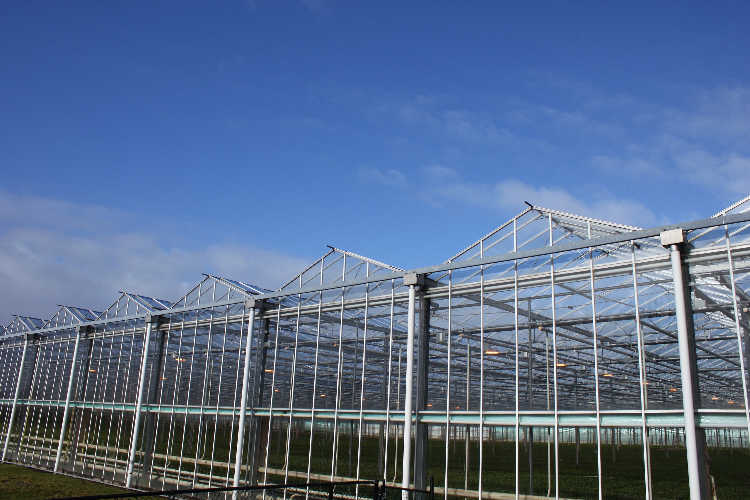 Horticulture Company In Hulten - Holland Heater